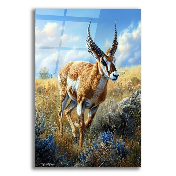 Epic Art 'Antelope' by Momart Acrylic Glass Wall Art, 12" x 16"