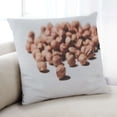 thumbnail image 1 of Ahgly Company Foods Nuts Indoor Throw Pillow, 18 inch by 18 inch, 1 of 6