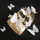 thumbnail image 4 of 12pcs 3D Imitation Butterfly Wall Stickers, Glitter Butterfly Stickers, Room Wall Decor, 4 of 4