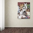 thumbnail image 3 of Trademark Fine Art 'Cuddly Kittens' Canvas Art by Jenny Newland, 3 of 3