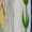 NZ028, variant on Flag Of Belize Dress Fashion Boho Beach Long Dresses Female Party Printed Maxi Dress