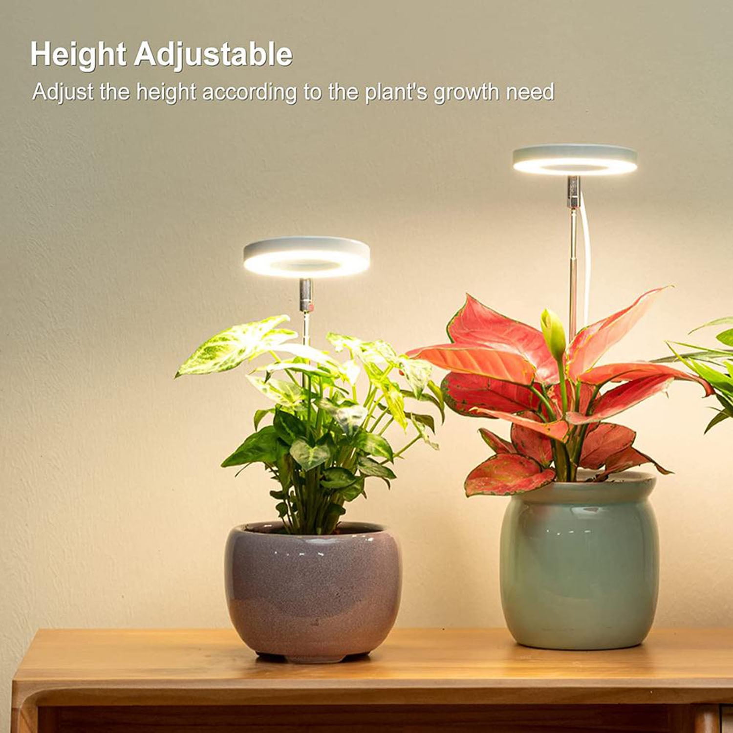 Full Spectrum Plant Lamp Sunlight with Timer Dimmable Switch 1 Ring Head Grow Light Rosnek Plant Grow Lights USB Halo Light for Indoor Plants Greenhouse Succulents Seedlings Small House Plant 