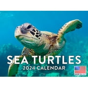 Sea Turtle 2024 Wall Calendar Sea Turtle 2024 Calendar