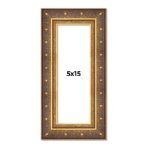 5x15 Frame Vintage Gold Solid Wood Picture Frame | 2.5 Inch Moulding Width | Ornate Bronze Museo
