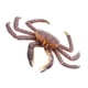 thumbnail image 3 of EeaseMX 1 modelo de animales marinos simulados, juguete de plástico para niños, adorno con forma de cangrejo., 3 of 7