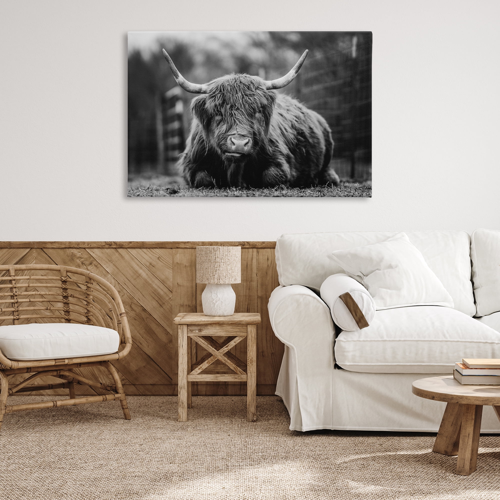 Stupell Industries Cattle Laying in Grass Animals & Insects Photography Gallery Wrapped Canvas Art Print Wall Art, 45 x 30