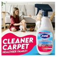 thumbnail image 4 of Gexandy Carpet Odor and Stain Remover Spray - Perfect Addition to Cleaning Supplies | All-Purpose Carpet Spot Cleaner| Citrus Scented Pet Stain Remover | Fast-Acting Carpet Cleaner (24 Fl Oz), 4 of 5