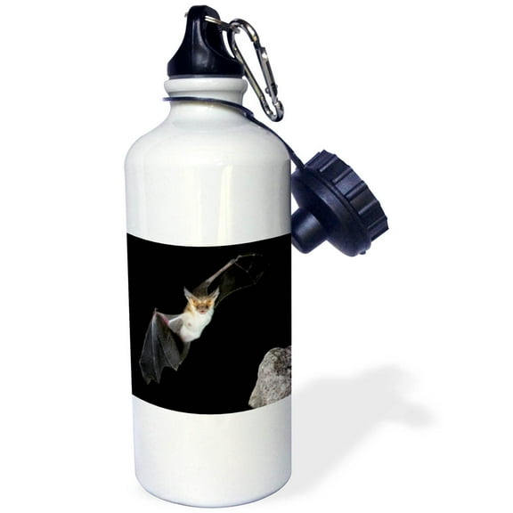 3dRose, Pallid Bat, Arizona - US03 JMC0012 - Joe and Mary Ann McDonald, 21 oz Sports Water Bottle