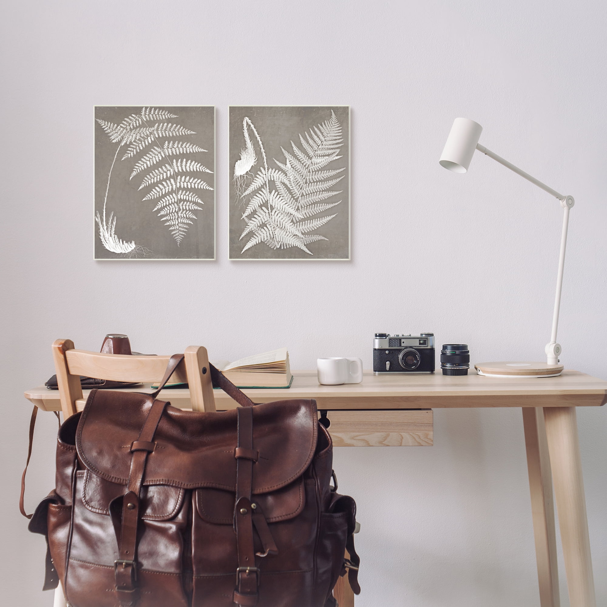 Stupell Industries Detailed Fern Plant White Botanical Herb Roots Graphic Art Unframed Art Print Wall Art, Set of 2, Design by Graffitee Studios