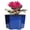Blue, variant on Dphagesy 6 inch Blue Self Watering African Violet Pot with Water Reservoir, Porous Ceramic Inner Pot, Bottom Watering Indoor Planter, Keeps Leaves Dry(Plants Are not Included)