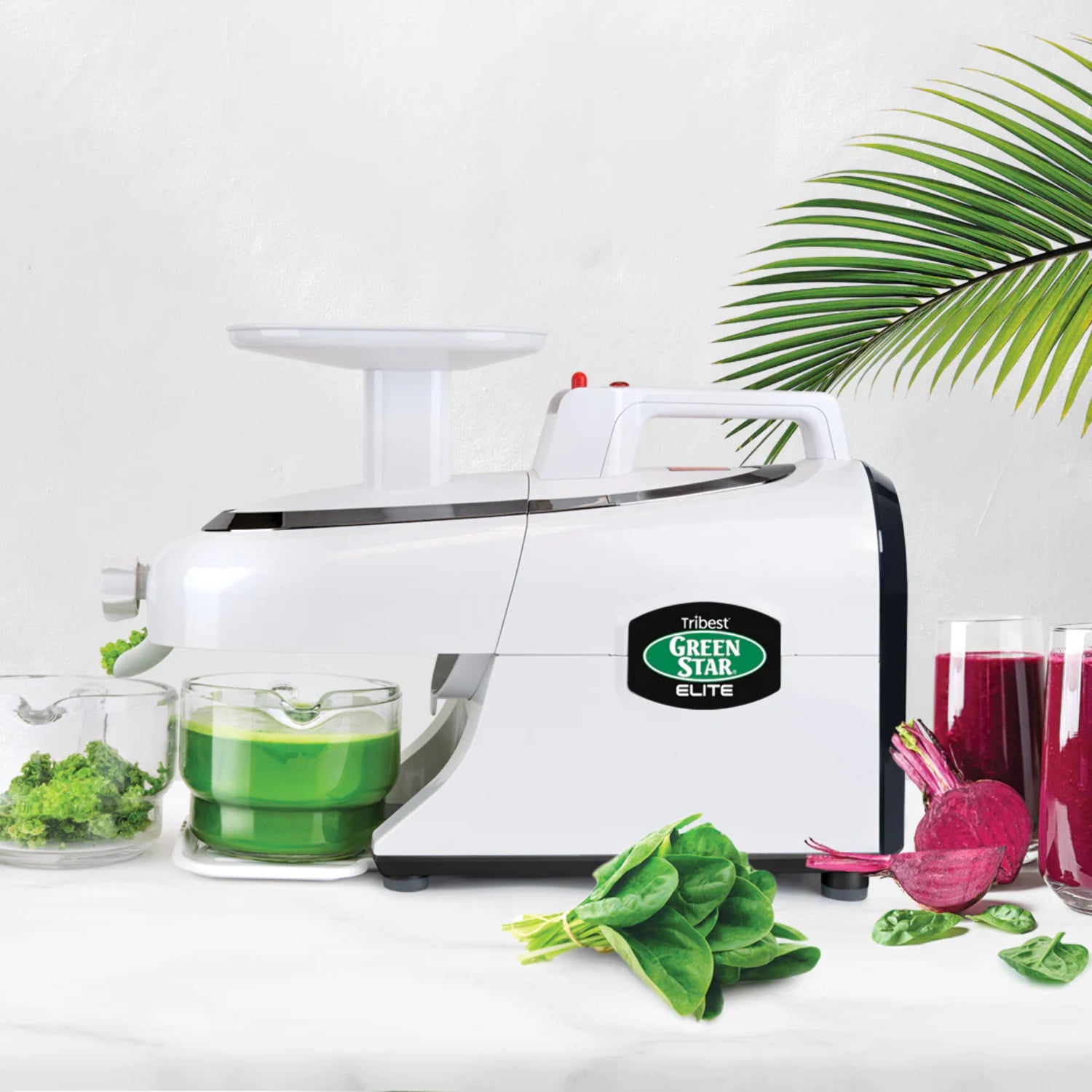 Masticating juicer green star sales
