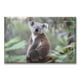 thumbnail image 1 of Cuadro Canva Listo Para Colgar Tipo Galería Koala 60X90 cm, 1 of 4