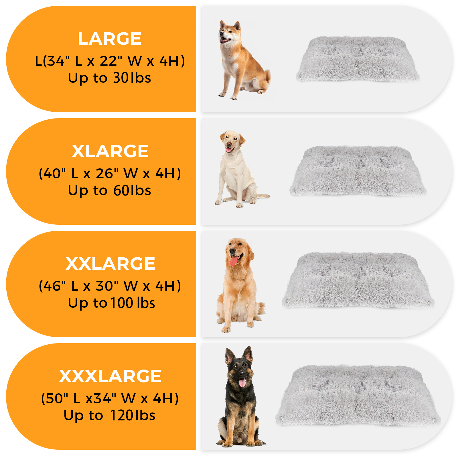 Katieovy Plush Large Dog Bed, 40 x 26 Inch photo 4