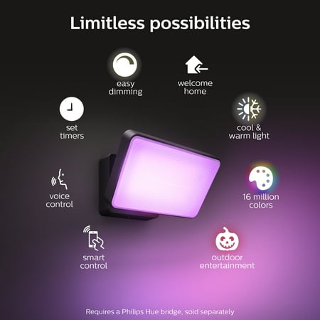 Philips - Hue Discover Outdoor Floodlight - White and Color Ambiance
