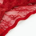 thumbnail image 3 of Women Sexy Underwear Mesh See Through Lingerie Embroidery Bra and Thong and Stocking, 3 of 5