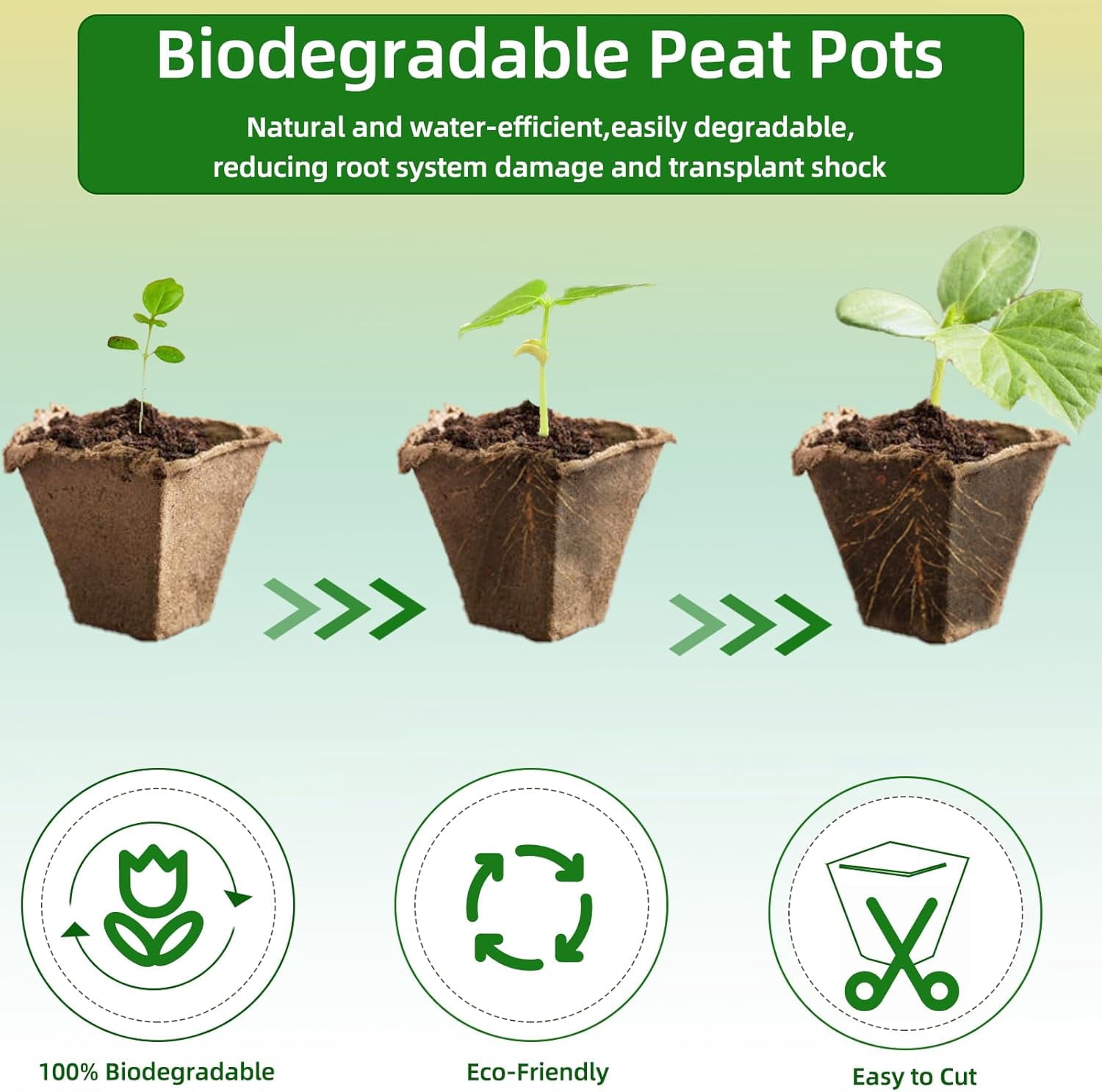 Seed Starter Tray, Biodegradable Peat Pots Seed Starter Kit, Organic Germination Trays for Seedlings with Plant Labels & Garden Tools