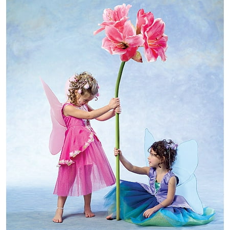 McCall's Children's and Girls' Fairy Costumes, CDD (2, 3, 4,