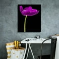 thumbnail image 4 of Epic Graffiti 'Purple Tulip Glow' by Pamela Plummer, Canvas Wall Art, 20"x24", 4 of 8