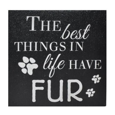 Cheungs 'The Best Things in Life Have Fur' Print on (The Best Canvas Prints)