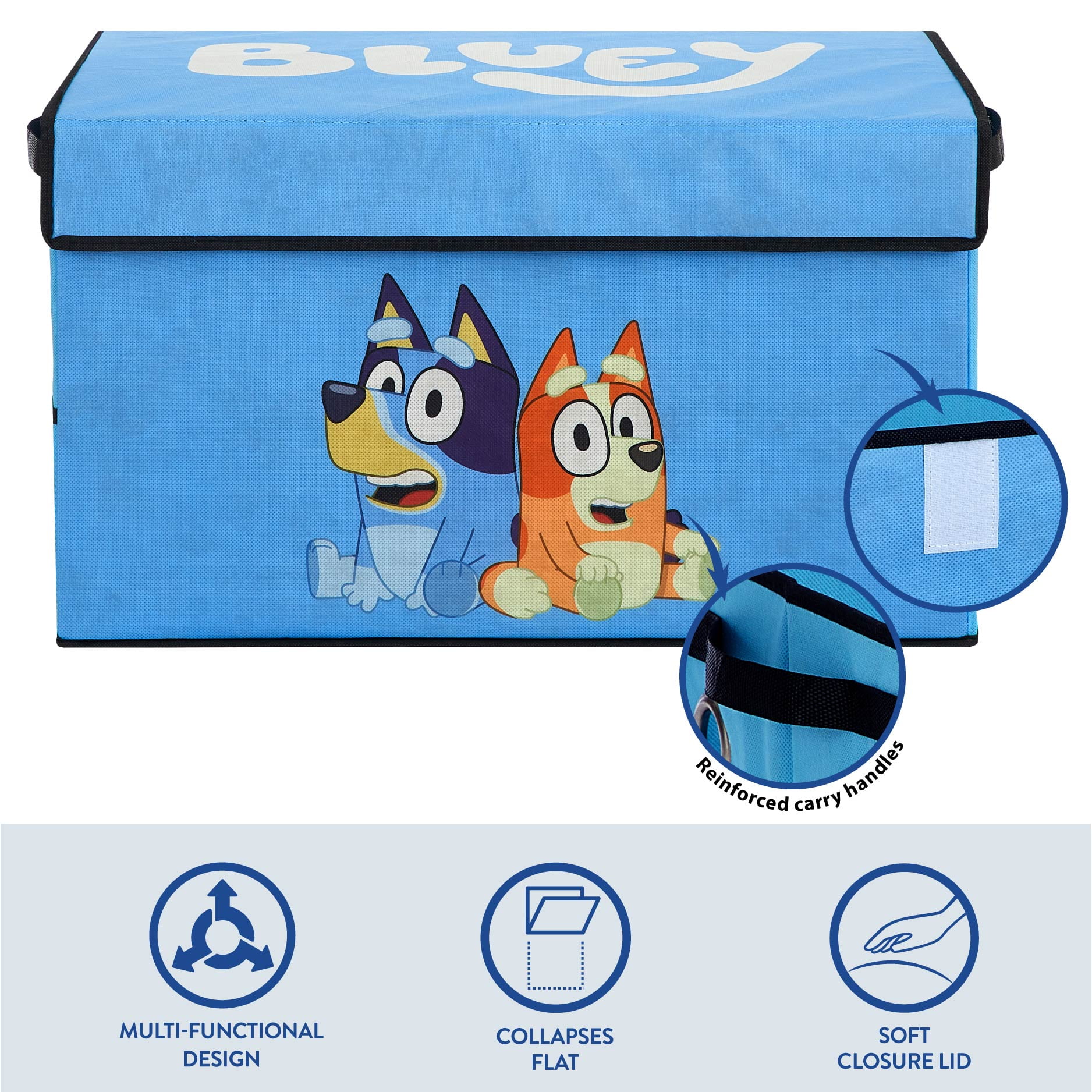 Bluey 22.5" W x 13.5" H Storage Trunk