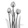 thumbnail image 3 of Koetsier, Albert 12x14 Black Modern Framed Museum Art Print Titled - Tulips Black and White, 3 of 5