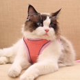 thumbnail image 3 of Cat Harness And Leash For Walking, Kitten Escape Proof Harnesses, Adjustable Reflective Puppy Vest Harness With Leashes Set, Easy Adjustable So_Jiuedso, 3 of 4