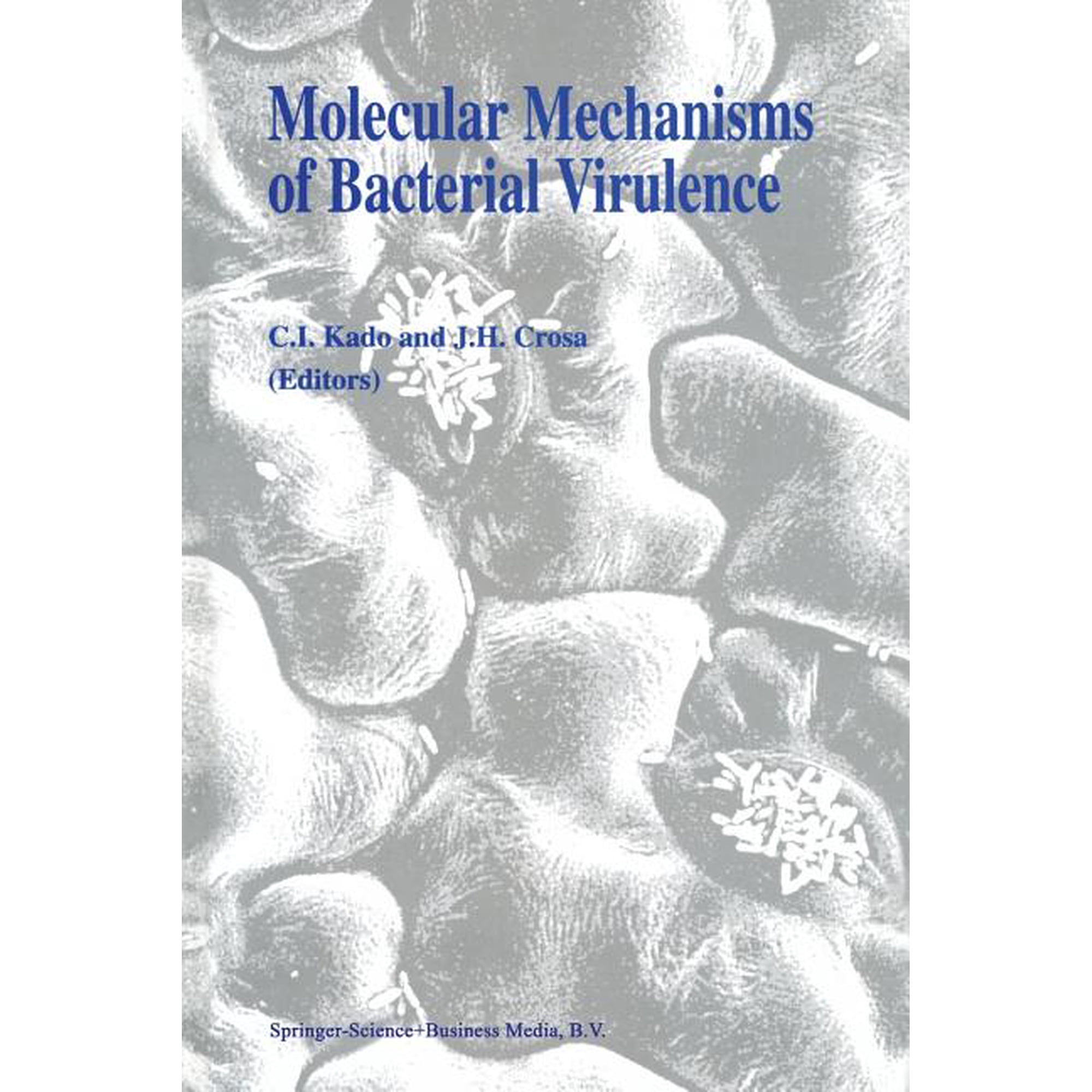 Developments in Plant Pathology Molecular Mechanisms of Bacterial Virulence Book 3 (Paperback)