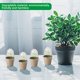 thumbnail image 4 of 20 macetas biodegradables con cúpula de humedad, 2,3 pulgadas, 4 of 5