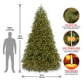 thumbnail image 3 of National Tree Company 10 ft. Pre-Lit Feel Real® Medium Artificial Christmas Tree, Green, Jersey Fraser Fir, Dual Color® LED Lights, Includes Stand, 3 of 5