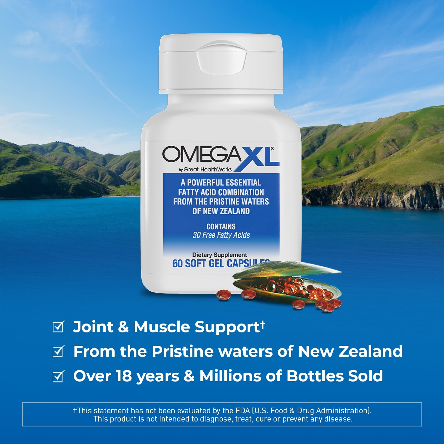 Buy OmegaXL Support for Joint & Muscle Health, Mobility & Joint Pain