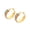 Gold, variant on Rainbow Huggie Earrings for Women Neon Hoop Earrings Dainty Earring Jewelry Gift