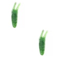 thumbnail image 2 of Seitruly Masajeador de nariz con forma de gusano, pedicura de mano, raspado, circulación sanguínea, masaje, presenta, raspador de elevación, hombro Verde 2piezas Seitruly CBP210374, 2 of 6