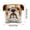 B, variant on Wzzjkit Puppy Pals Pen Holders
