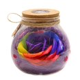 thumbnail image 2 of POINTERTECK Wishing Bottle Remote Control Rose Flower Night Light LED Romantic Bulb RGB Dimmer Lamp Valentine‘s Day Birthday Gift, 2 of 4