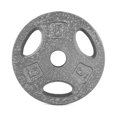 thumbnail image 1 of CAP Barbell Standard 1-inch Weight Lifting Grip Plate, 5 lb, Single, Grey, 1 of 5