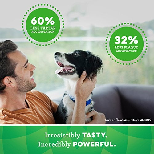 Greenies petite hotsell 90 count