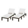 Aspen Outdoor Wicker Adjustable Chaise Lounges with Cushions (Set of 2)