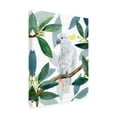 thumbnail image 2 of Annie Warren 'Cockatoo Perch II' Canvas Art, 2 of 3