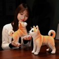 thumbnail image 5 of Jouet en Peluche Chien Akita Réaliste 25/30cm Shiba Inu Chiot Zekai, 5 of 5