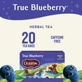 thumbnail image 2 of Celestial Seasonings True Blueberry Caffeine-Free Herbal Tea Bags (20 Count), 2 of 7