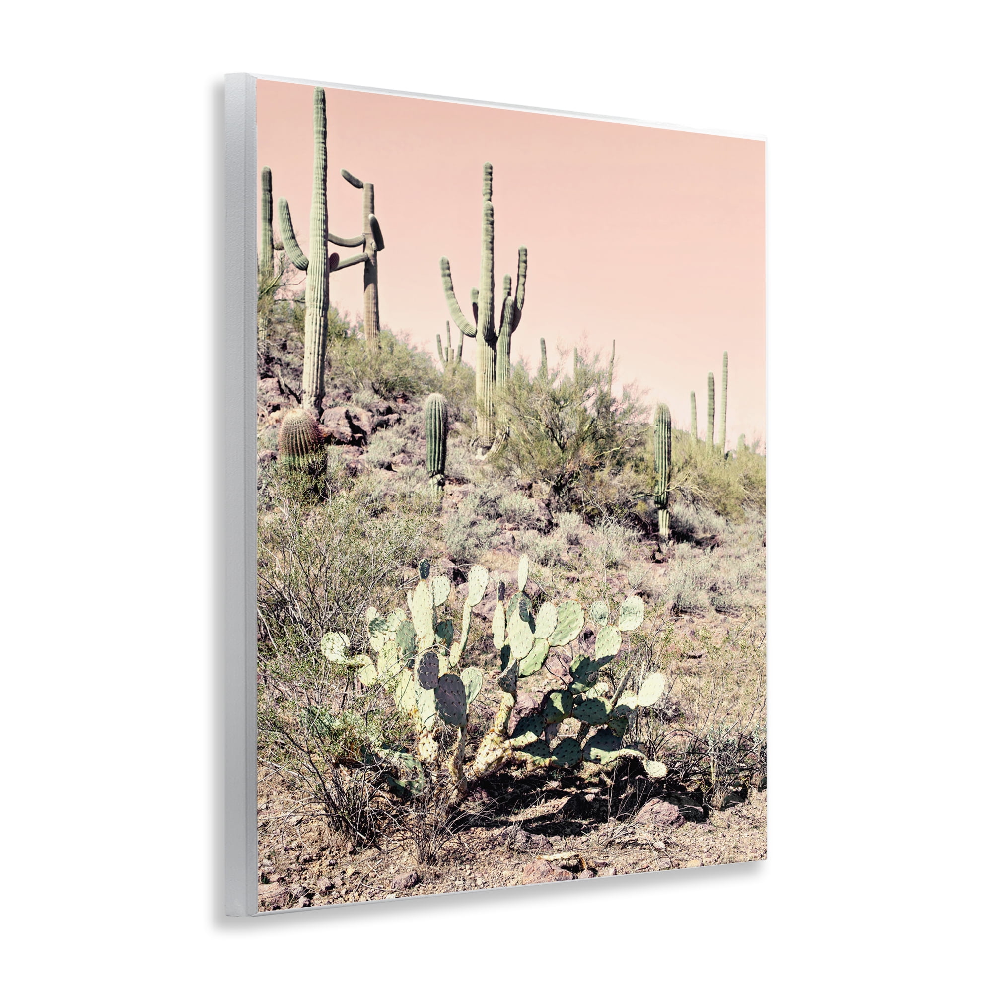 Stupell Industries Rustic Desert Scene Landscape & Nature Photography Unframed Art Print Wall Art, 11 x 14