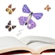 thumbnail image 3 of 10 / Set Creative Fairy Flying Butterfly Wind-up Goma Banda Tarjetas de felicitación Mariposas Fiesta de boda Mordaza Juguetes novedosos Prop para niñ Baoblaze juguetes antiestrés, 3 of 7