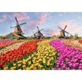 thumbnail image 1 of Diamond Painting (DB3278) 5D DIY Picture Kit Molino de viento Flor Campo Cuadrado 20X30cm FLhrweasw Nuevo, 1 of 1