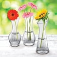 thumbnail image 2 of Kovot Set of 3 Glass Bud Vases - 3 Distinct Star-Etched Vases, 2 of 6