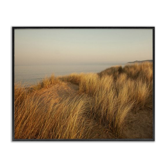 Stupell Industries Tropical Ocean Cliff Sunset Sun Bleached Grass Seaside Photography Black Framed Giclee Art, 14 x 11, by Ian Winstanley