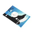 thumbnail image 2 of BSDHOME Wolf Kitchen Table Mat Placemats for Dining Table 12x18 inches, 2 of 4