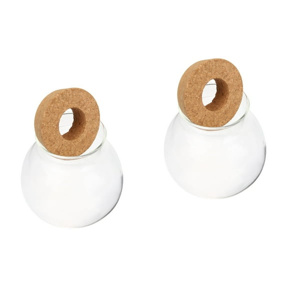 Set of 2 Hydroponic Glass Bottle Flower Pots Vase for Hydroponic Plant Water Planting Terrarium