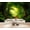 Color 4, variant on Wallpaper Mystical Forest Sunlight Filtering Trees Vintage Peel and Stick Wall Murals 100"H x 144"W Removable PVC Wall Paper Self-Adhesive Wall Paintings Art Decor for Bedroom Living Room