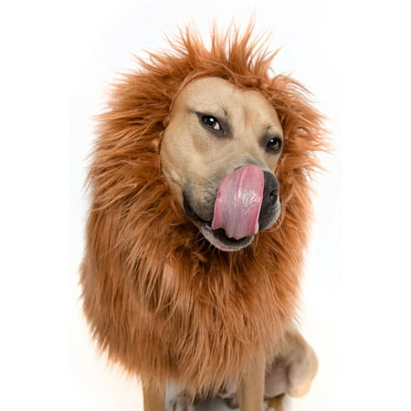 Lion Mane Dog Costume - Large Dog Costumes by Pet (Best Large Dog Costumes)