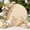 black, variant on Geetinfly Round Arch Backdrop Cover, 6ft/6.5ft/7.2ft Circle Arch Stand With Bottom Zipper, Smooth Touch, Multipurpose Wedding Arched Background Set For Birthday Party